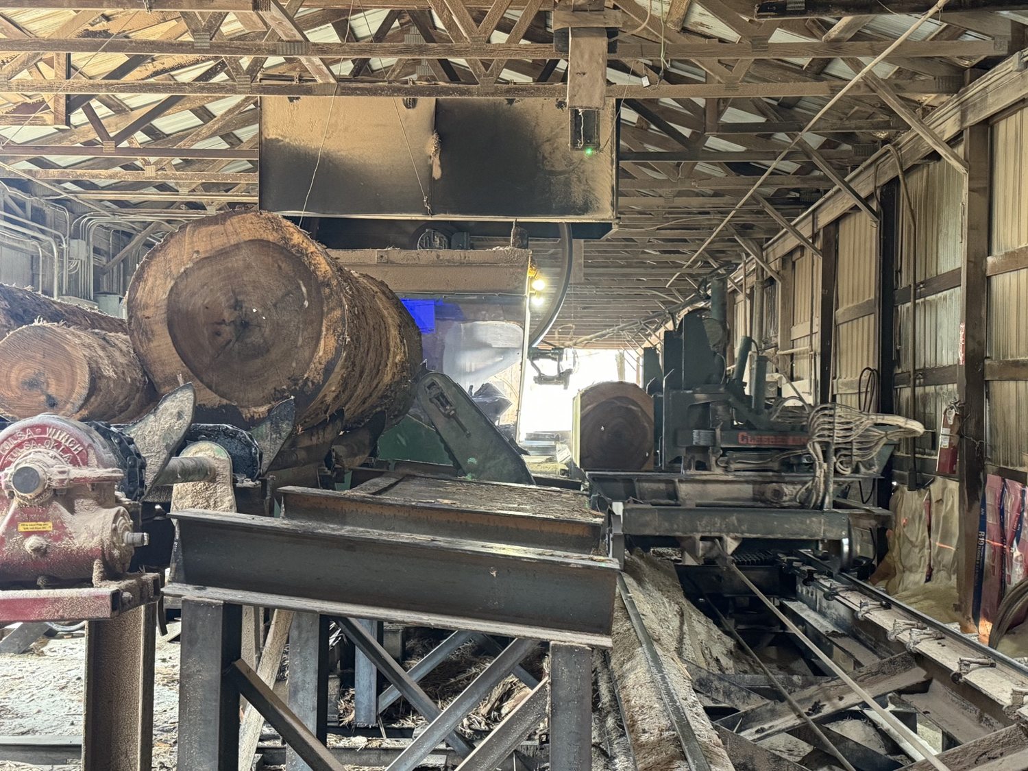 Hardwood logs on the infeed at the CyBlair sawmill